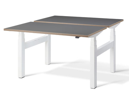 Duo Height Adjustable Double Desk(With Bluetooth Control)