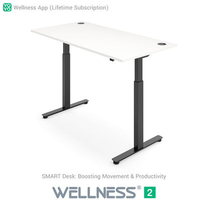 WELLNESS 2 Smart Dual-Motor Standing Desk