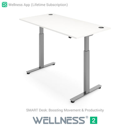 WELLNESS 2 Smart Dual-Motor Standing Desk