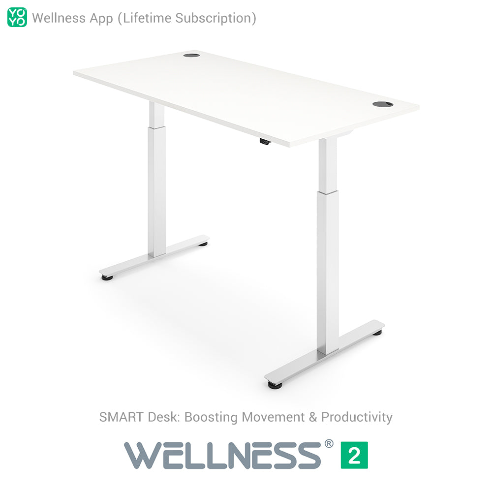 WELLNESS 2 Smart Dual-Motor Standing Desk