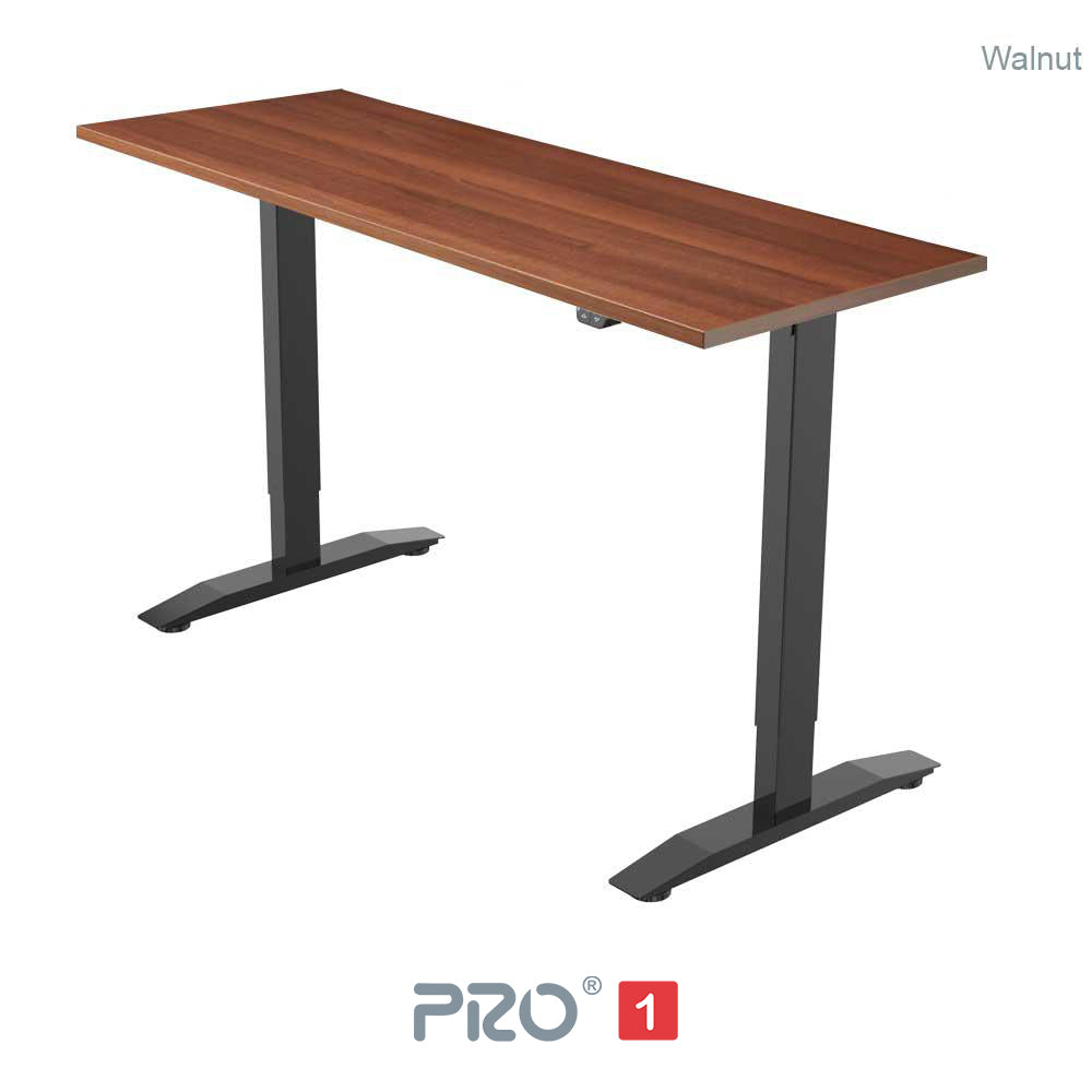 PRO 1 Single Motor Standing Desk