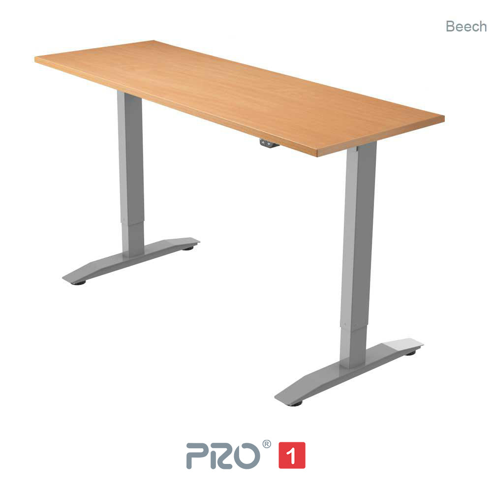 PRO 1 Single Motor Standing Desk
