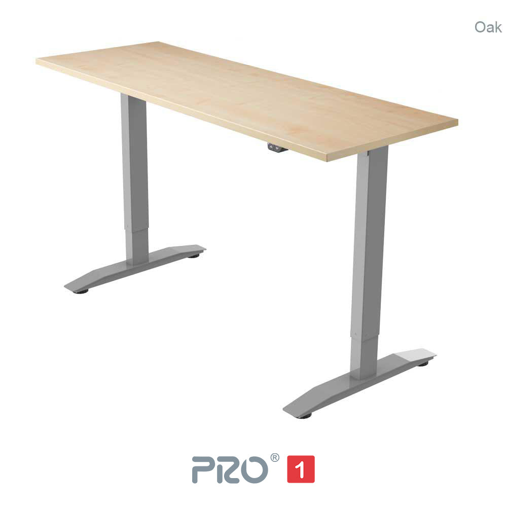 PRO 1 Single Motor Standing Desk