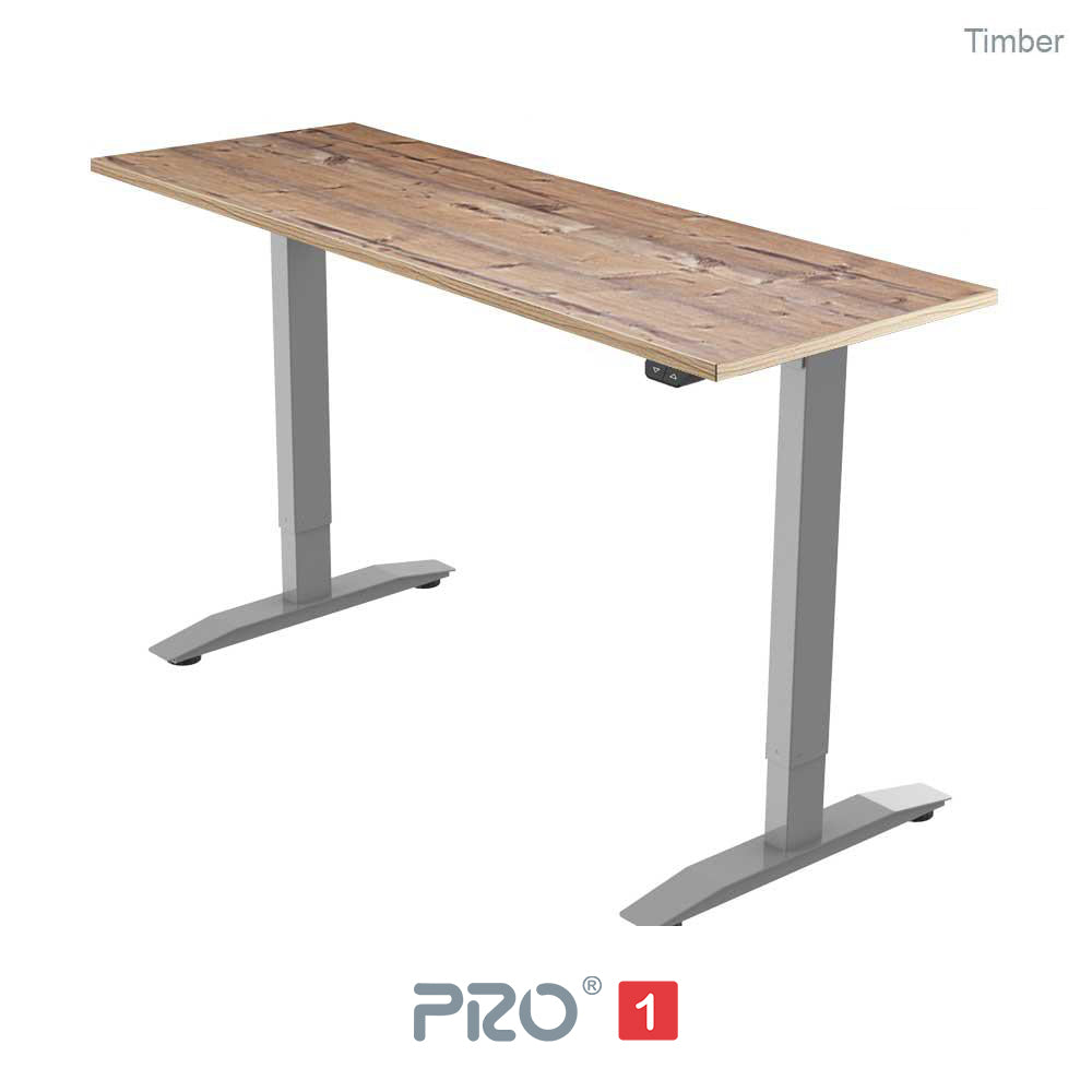 PRO 1 Single Motor Standing Desk