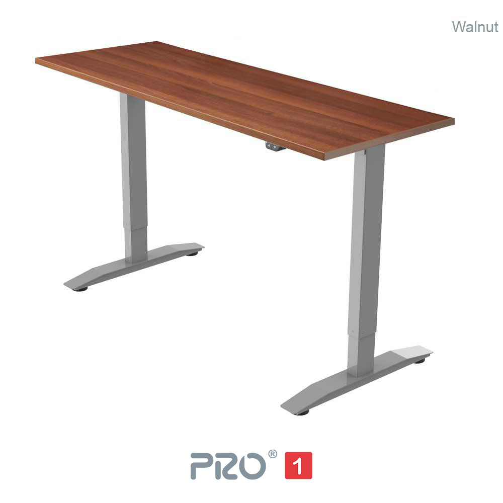 PRO 1 Single Motor Standing Desk