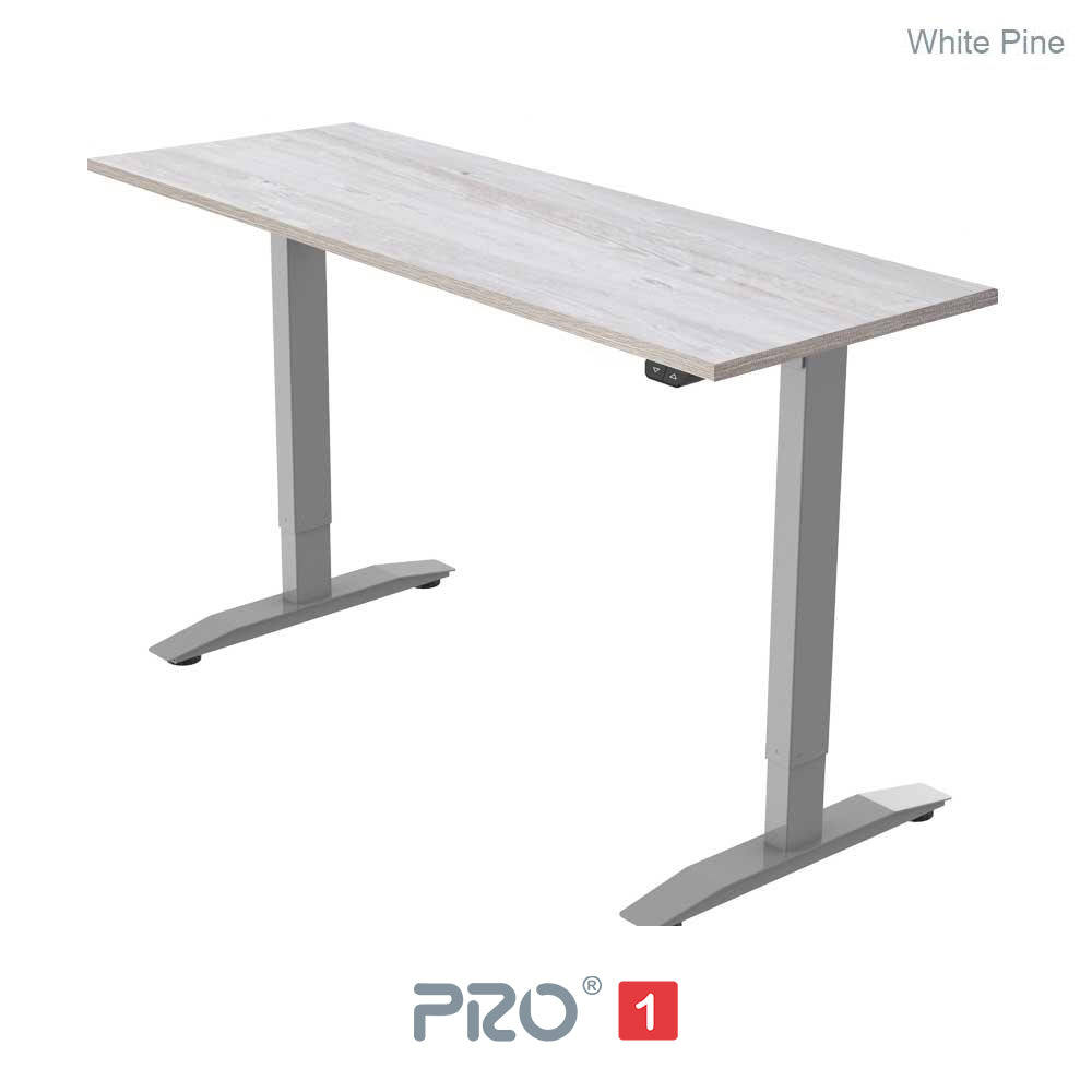 PRO 1 Single Motor Standing Desk