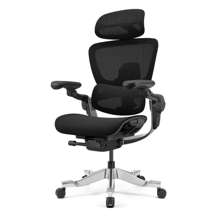 HINOMI H2 Pro Ergonomic Office Chair