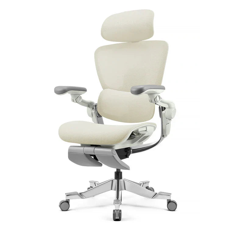HINOMI H2 Pro Ergonomic Chair