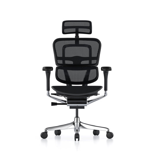 Ergohuman Office Chair- Black Mesh