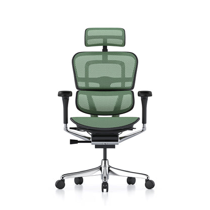 Ergohuman Office Chair- Green Mesh Office Chair Ergohuman With Headrest Black