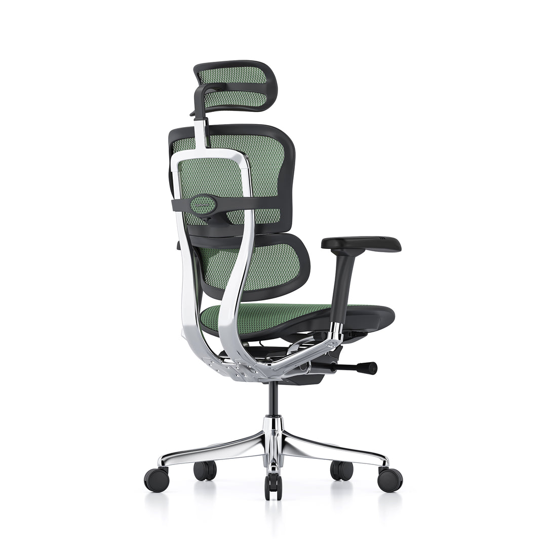 Ergohuman Office Chair- Green Mesh Office Chair Ergohuman