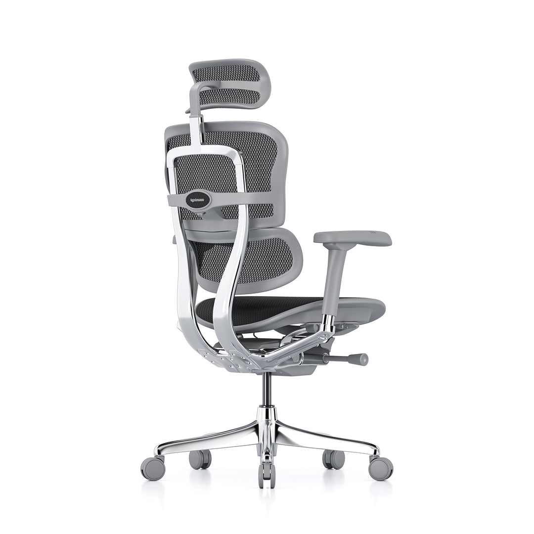 Ergohuman Office Chair- Black Mesh Office Chair Ergohuman