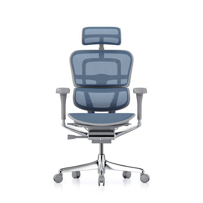 Ergohuman Office Chair- Blue Mesh Office Chair Ergohuman