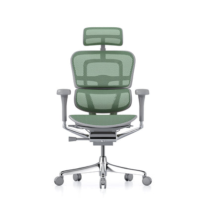 Ergohuman Office Chair- Green Mesh Office Chair Ergohuman With Headrest Grey