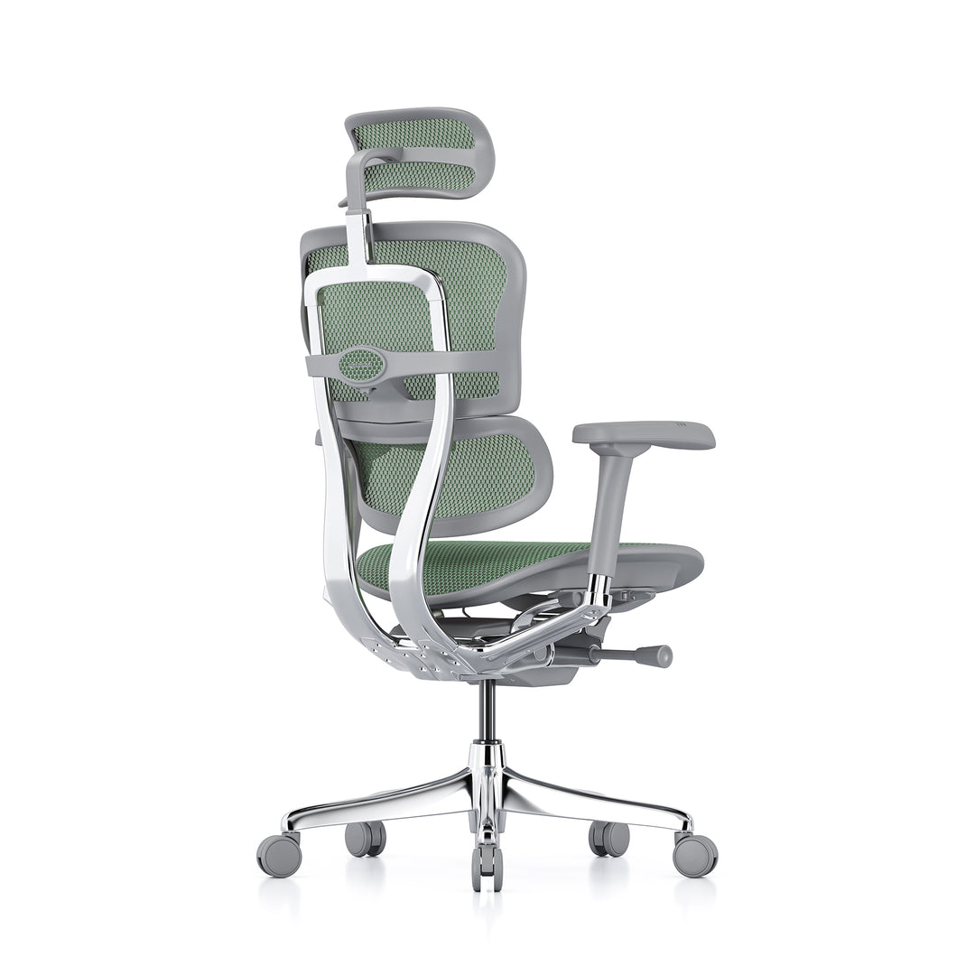 Ergohuman Office Chair- Green Mesh Office Chair Ergohuman
