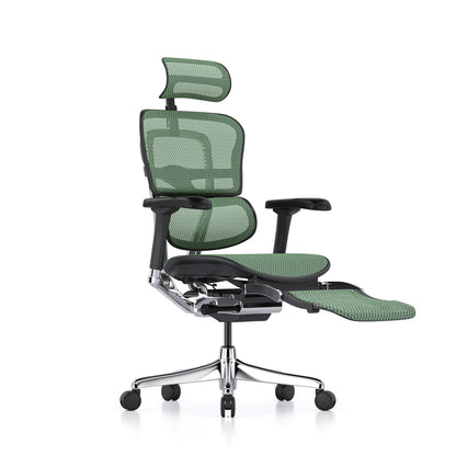 Ergohuman Office Chair- Green Mesh Office Chair Ergohuman With Headrest + Legrest Black