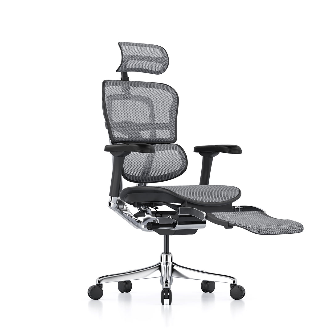 Ergohuman Office Chair- Grey Mesh Office Chair Ergohuman