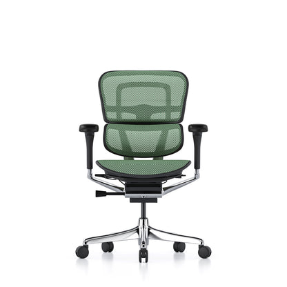 Ergohuman Office Chair- Green Mesh Office Chair Ergohuman Without Headrest Black
