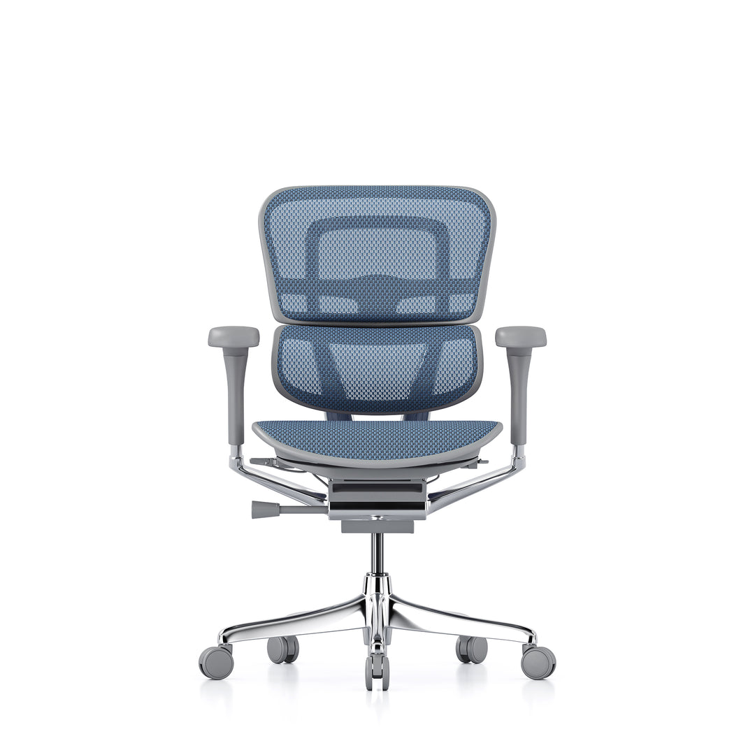 Ergohuman Office Chair- Blue Mesh Office Chair Ergohuman Without Headrest Grey