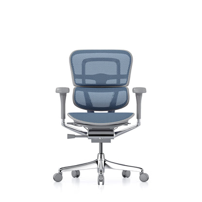 Ergohuman Office Chair- Blue Mesh Office Chair Ergohuman Without Headrest Grey