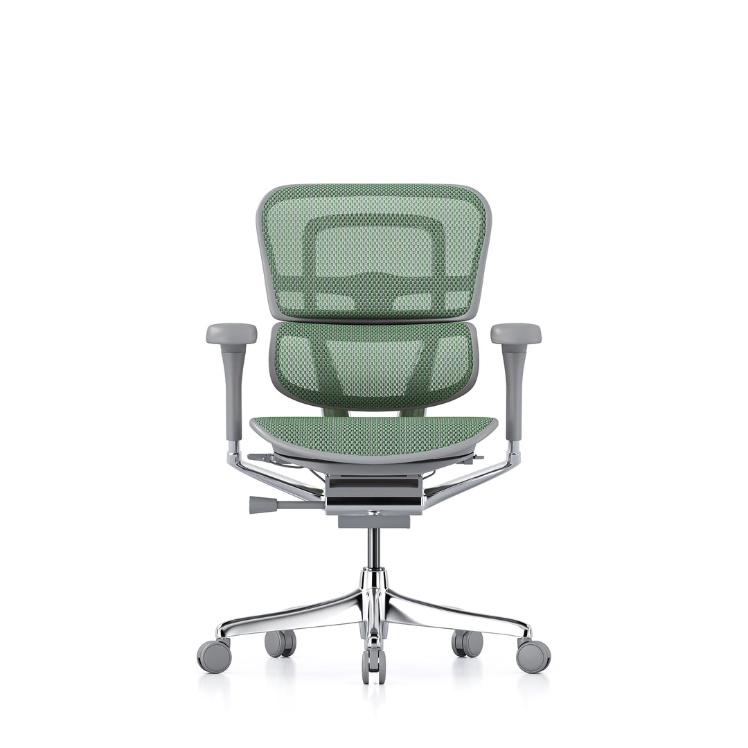 Ergohuman Office Chair- Green Mesh Office Chair Ergohuman Without Headrest Grey
