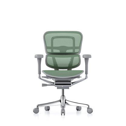 Ergohuman Office Chair- Green Mesh Office Chair Ergohuman Without Headrest Grey