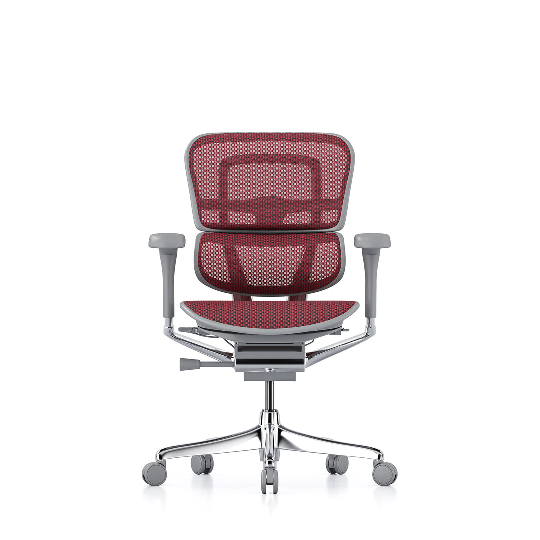 Ergohuman Office Chair- Red Mesh Office Chair Ergohuman Without Headrest Grey