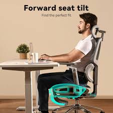 H80 Pro Ergonomic Office Chair