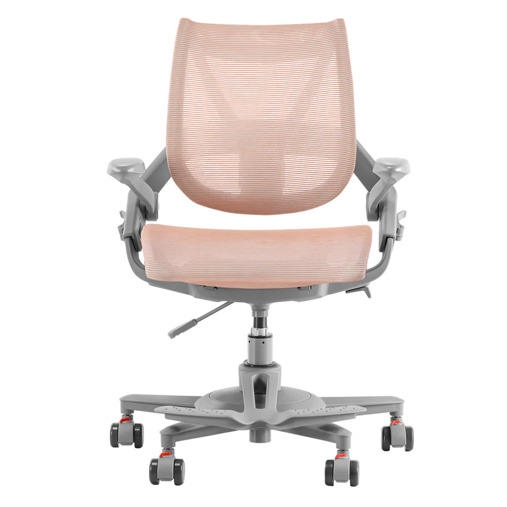 HINOMI Zee V2 Ergonomic Chair