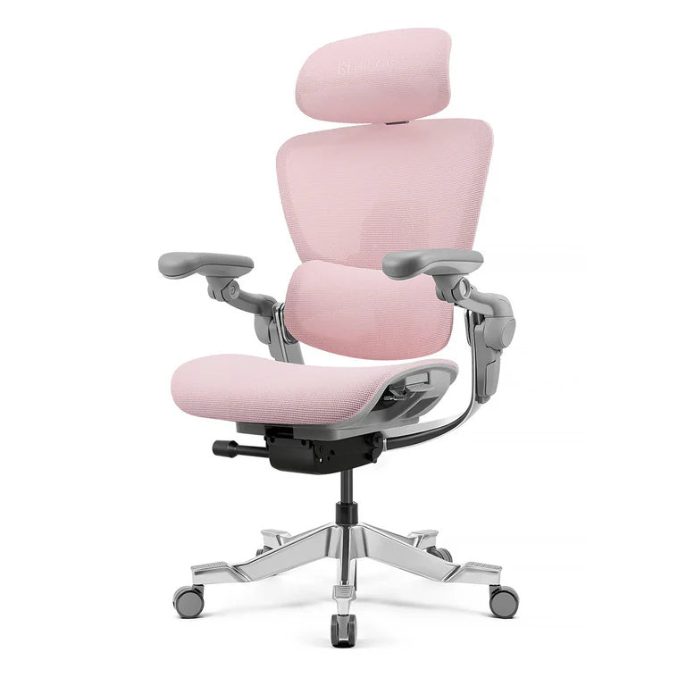 HINOMI H2 Pro Ergonomic Office Chair