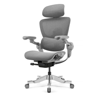 HINOMI H2 Pro Ergonomic Office Chair