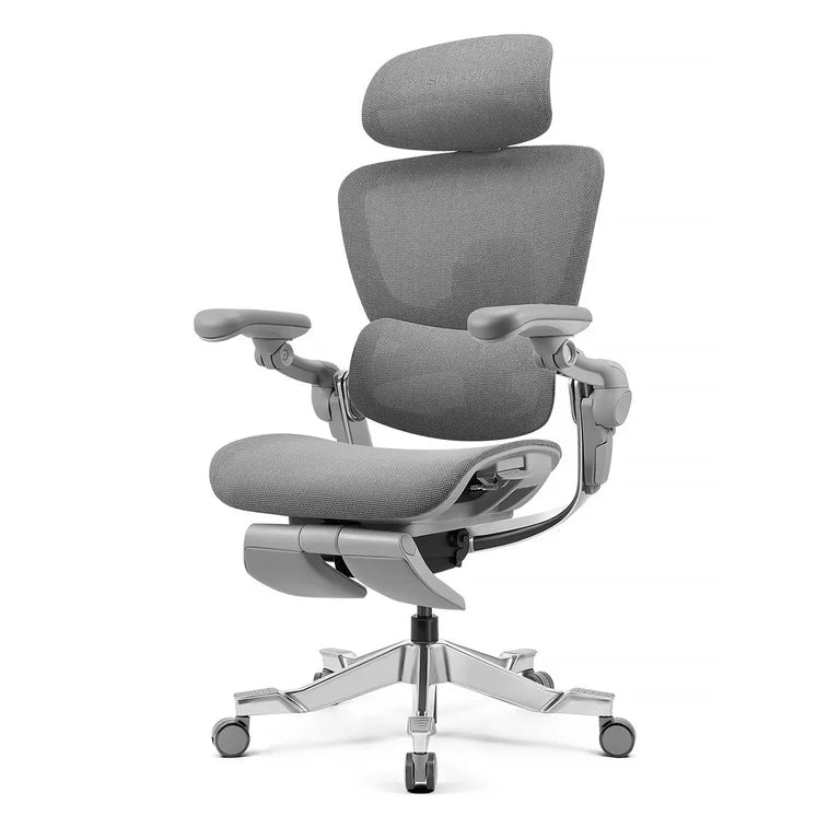 HINOMI H2 Pro Ergonomic Office Chair