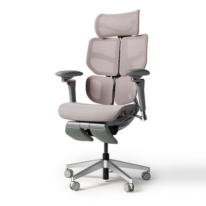 HINOMI X2 Pro Ergonomic Desk Chair (Improved X1 Model)