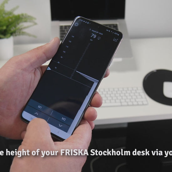 Signature Rustik Standing Desk FRISKA