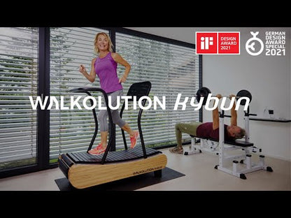 Walkolution Manual Desk Treadmill