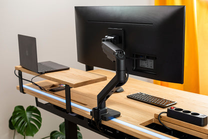 ErgoHide Monitor Arm