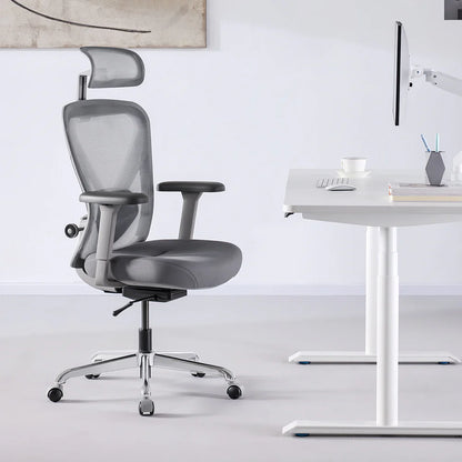 HINOMI Q1 Ergonomic Office Chair Office Chair HINOMI