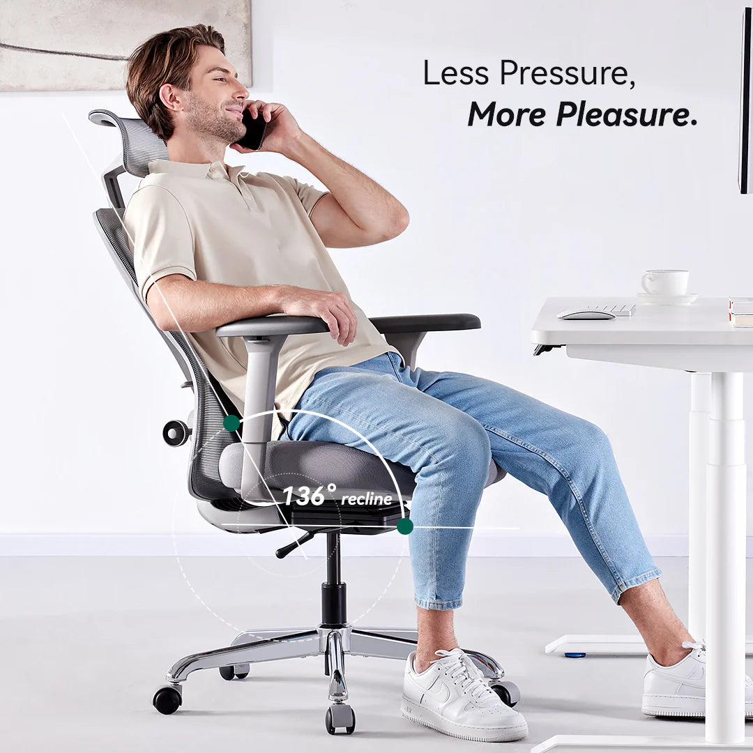 HINOMI Q1 Ergonomic Office Chair Office Chair HINOMI