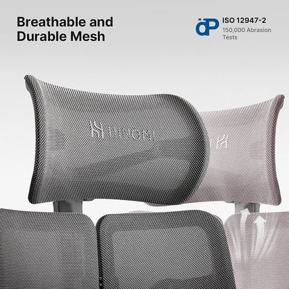 HINOMI X2 Pro Ergonomic Desk Chair (Improved X1 Model)