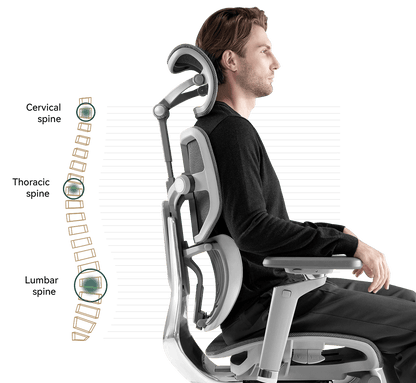 HINOMI X1 Ergonomic Chair: Robust Design, Supreme Comfort