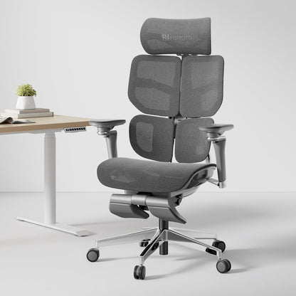 HINOMI X2 Pro Ergonomic Desk Chair (Improved X1 Model)